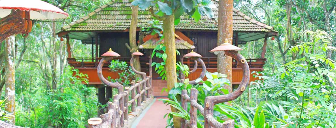 Nature Zone jungle Resort - 